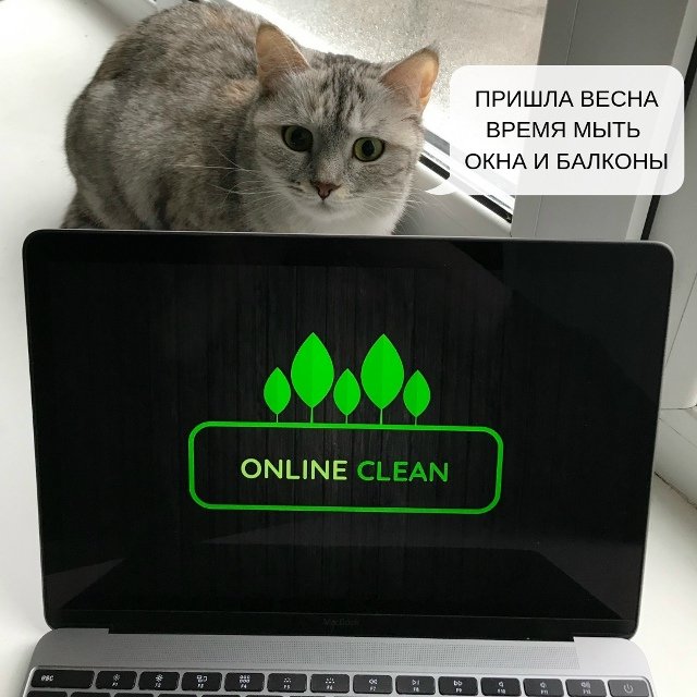 Клининг Как поддерживать чистоту и порядок в вашем доме и офисе Клининг Как поддерживать чистоту и порядок в вашем доме и офисе